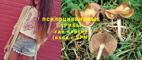 скорость Аркадак