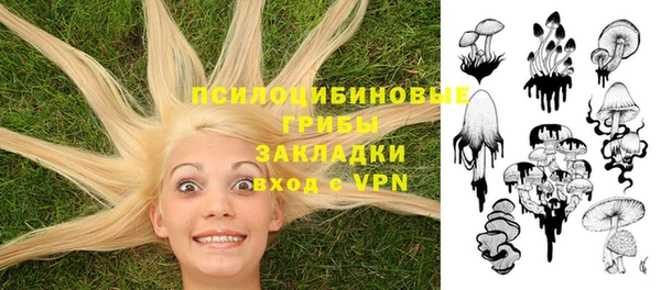 прущий лед Алзамай